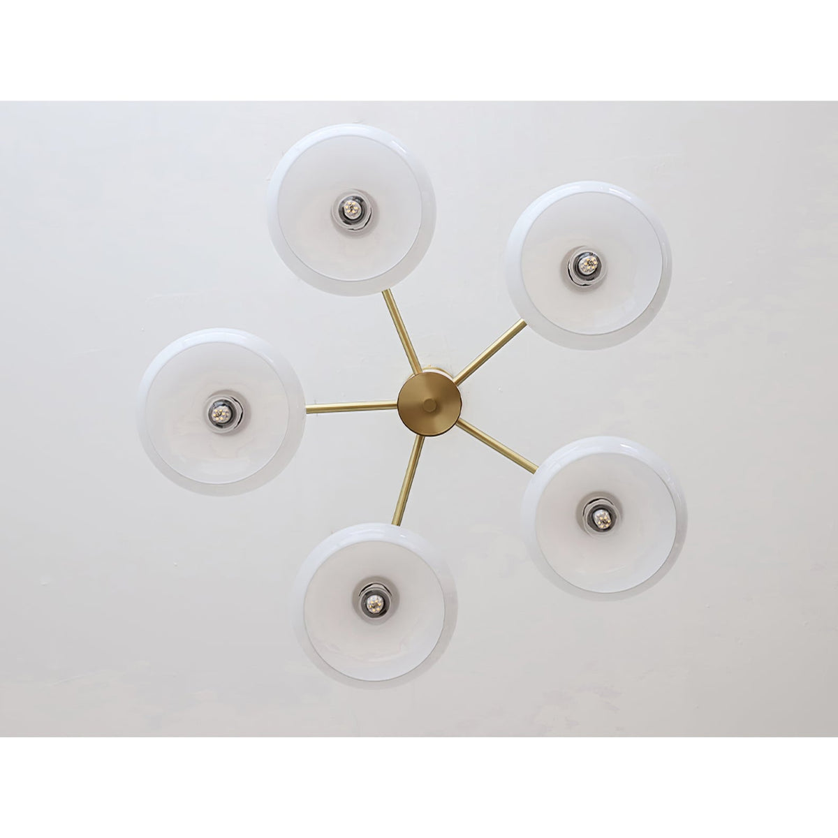 Vindo Oval Chandelier