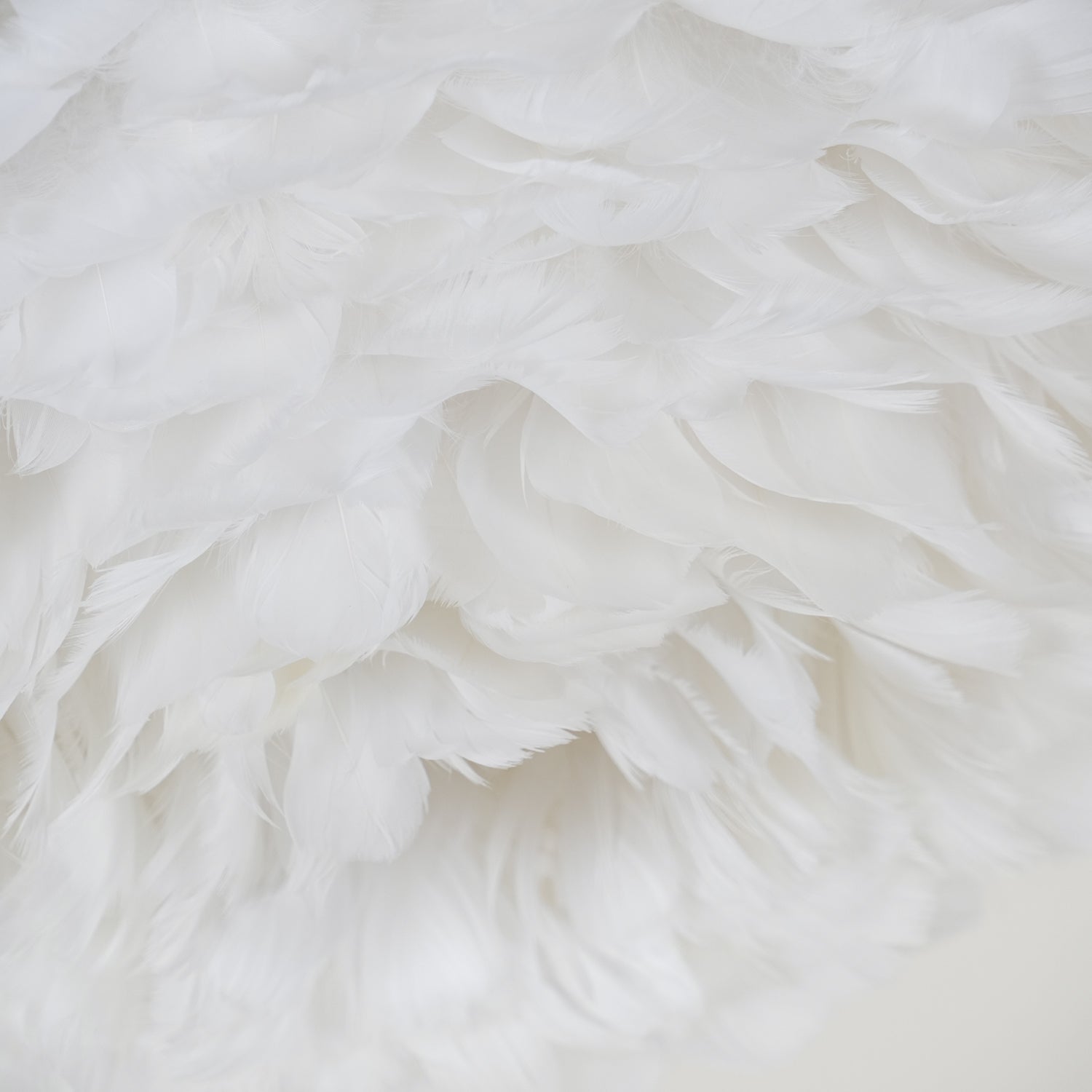 Feather Design Ceiling Light