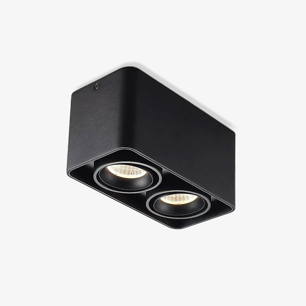 Dolzor Ceiling Light
