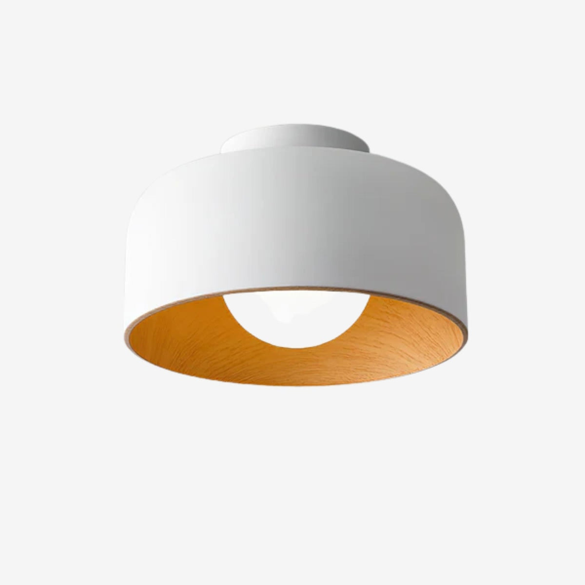 Nakara Globe Ceiling Light