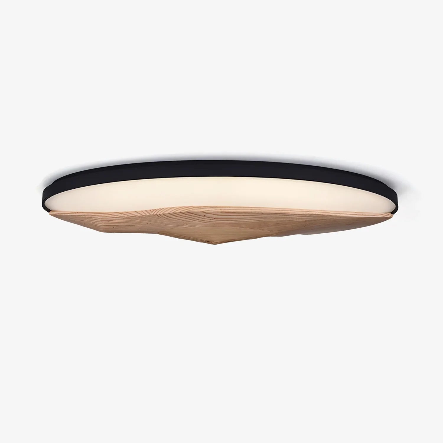Geo Landscape Ceiling Light