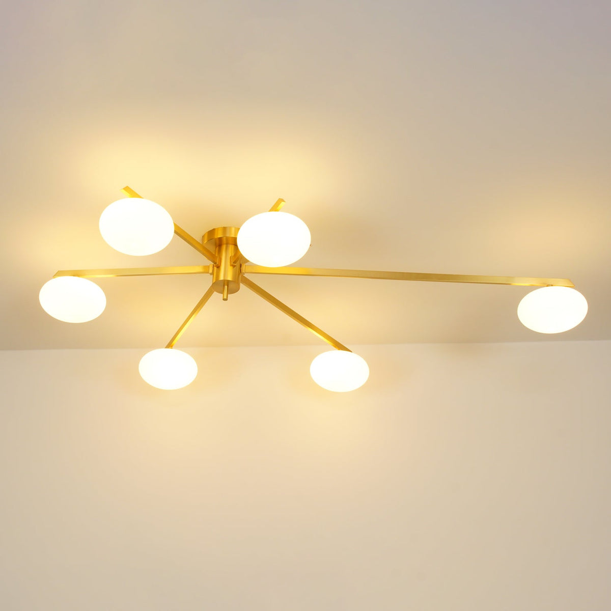 Nololo Modern Ceiling Light