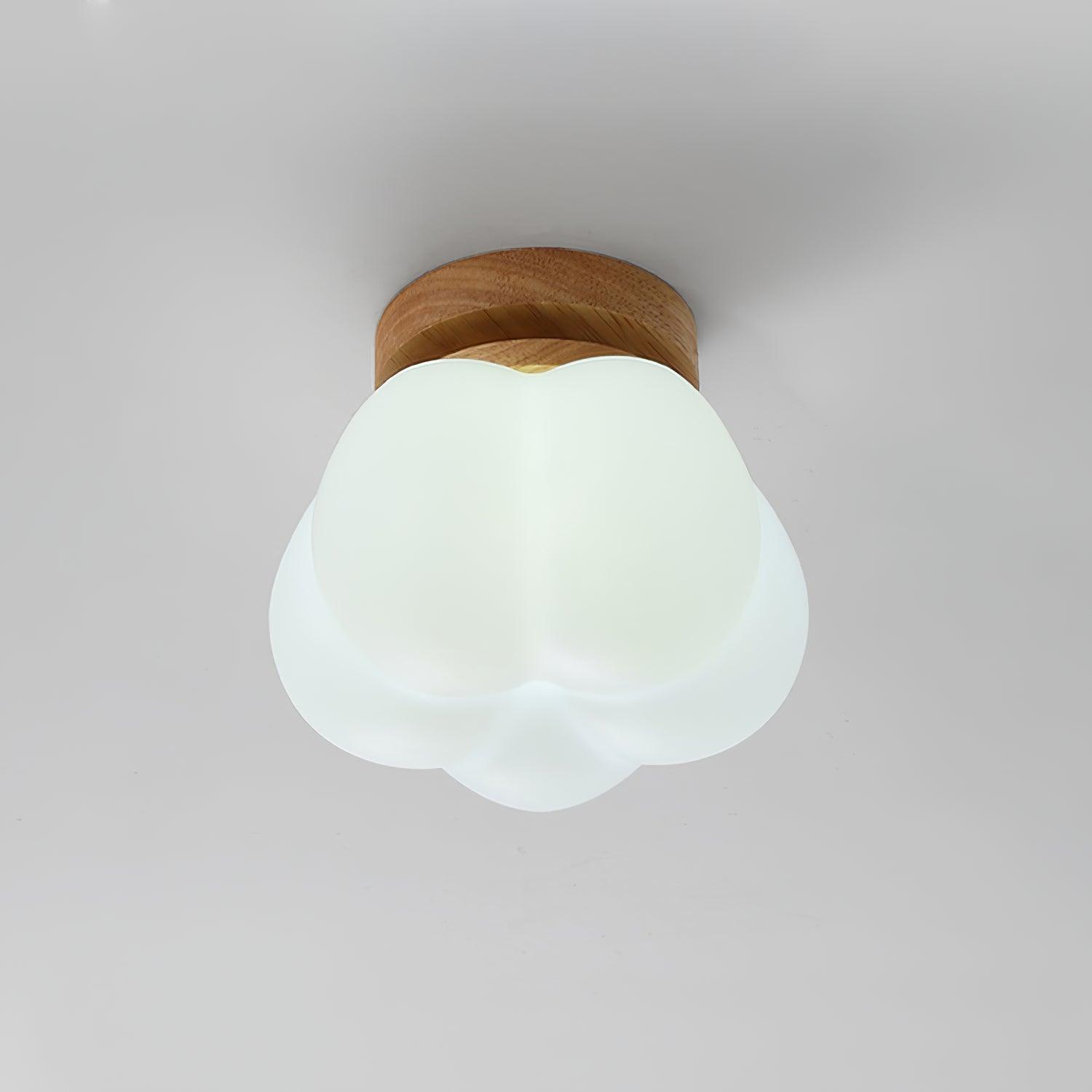 Kopa Ceiling Light