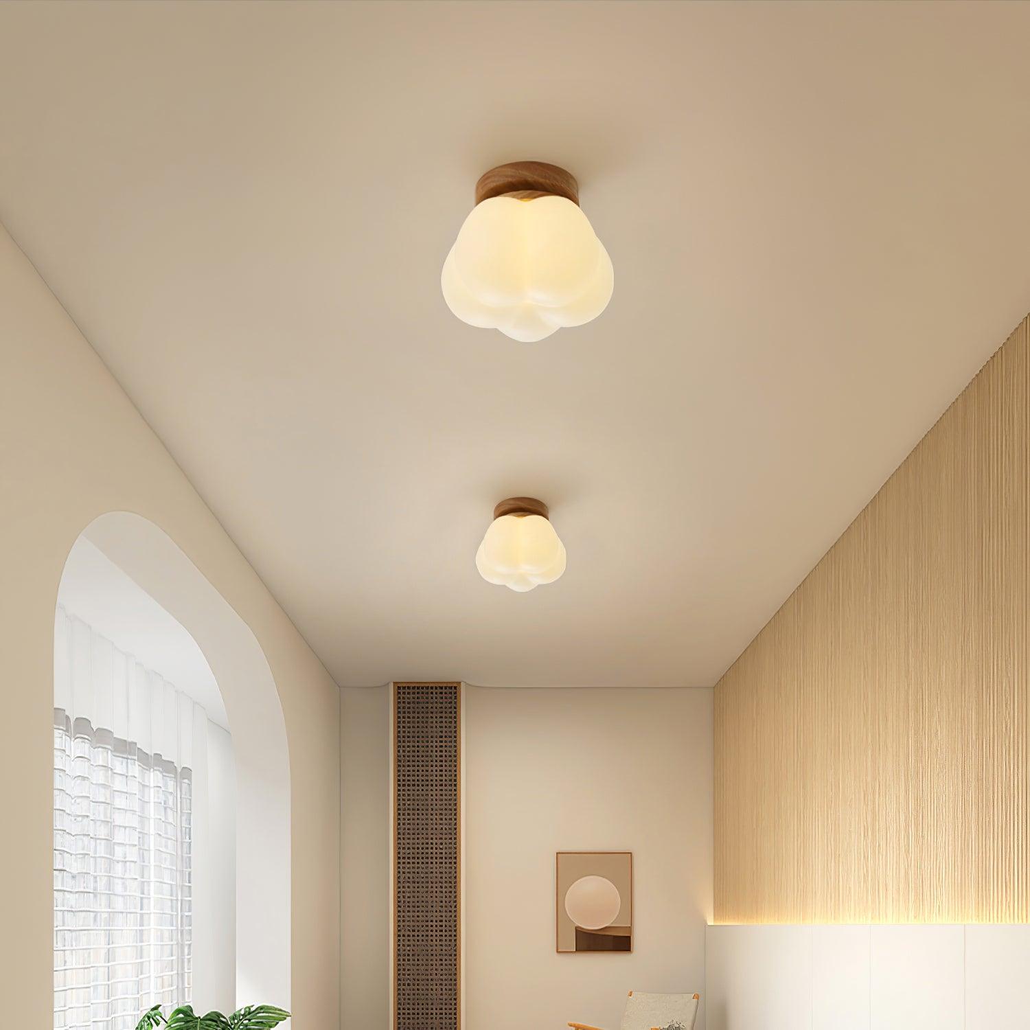 Kopa Ceiling Light