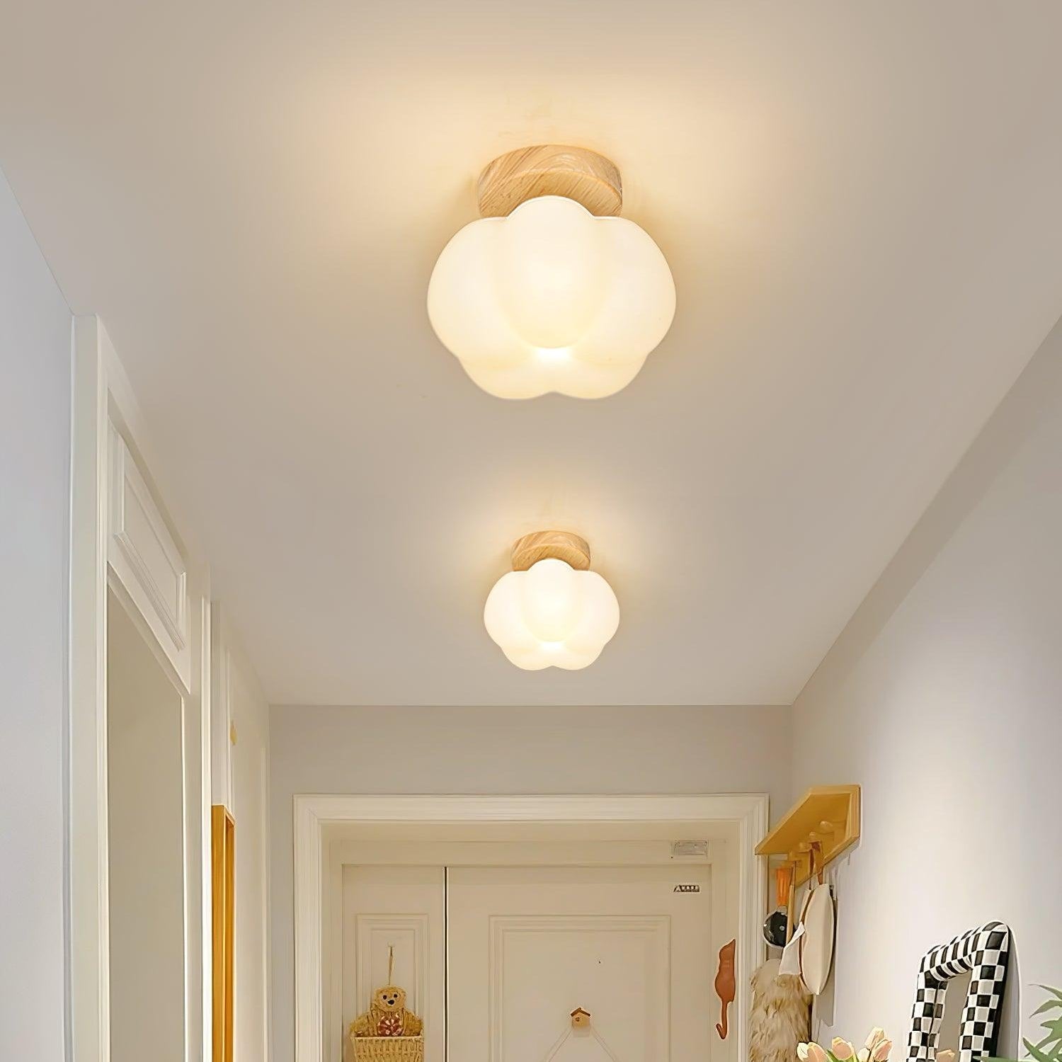 Kopa Ceiling Light