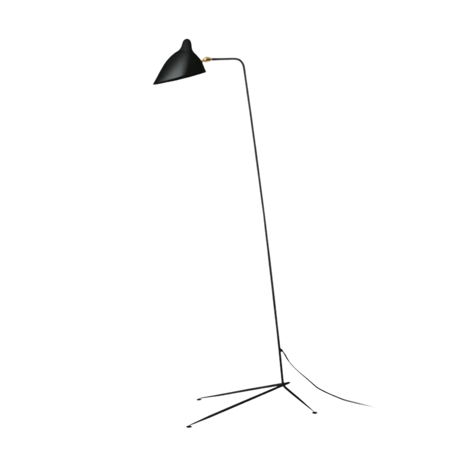 Molizon Floor Lamp