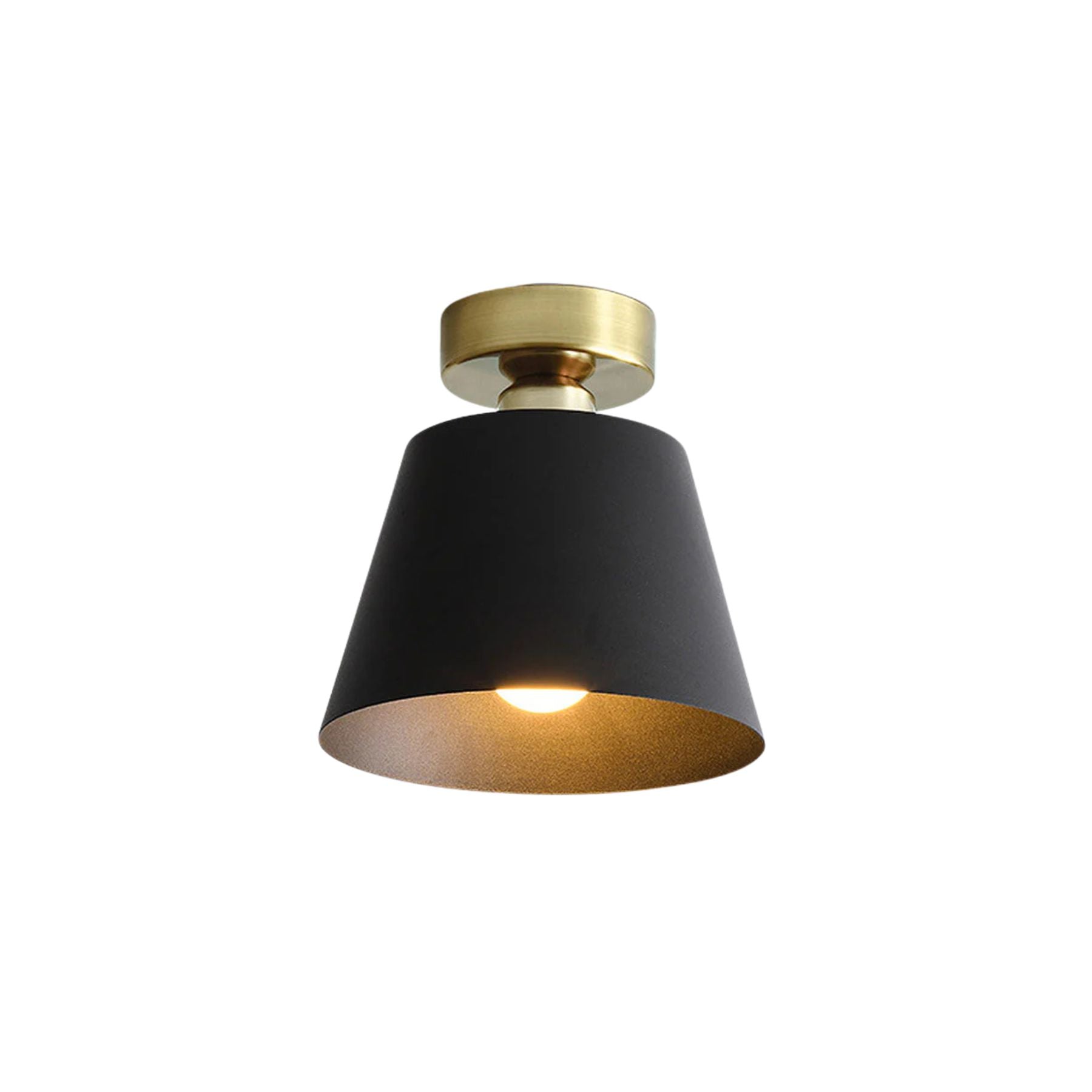 Cinosal Ceiling Light