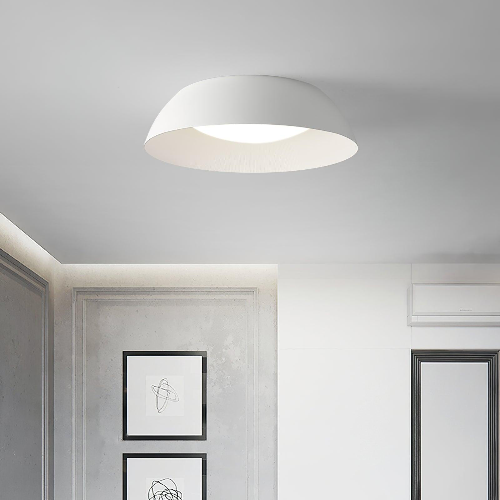 Lendsy Ceiling Light
