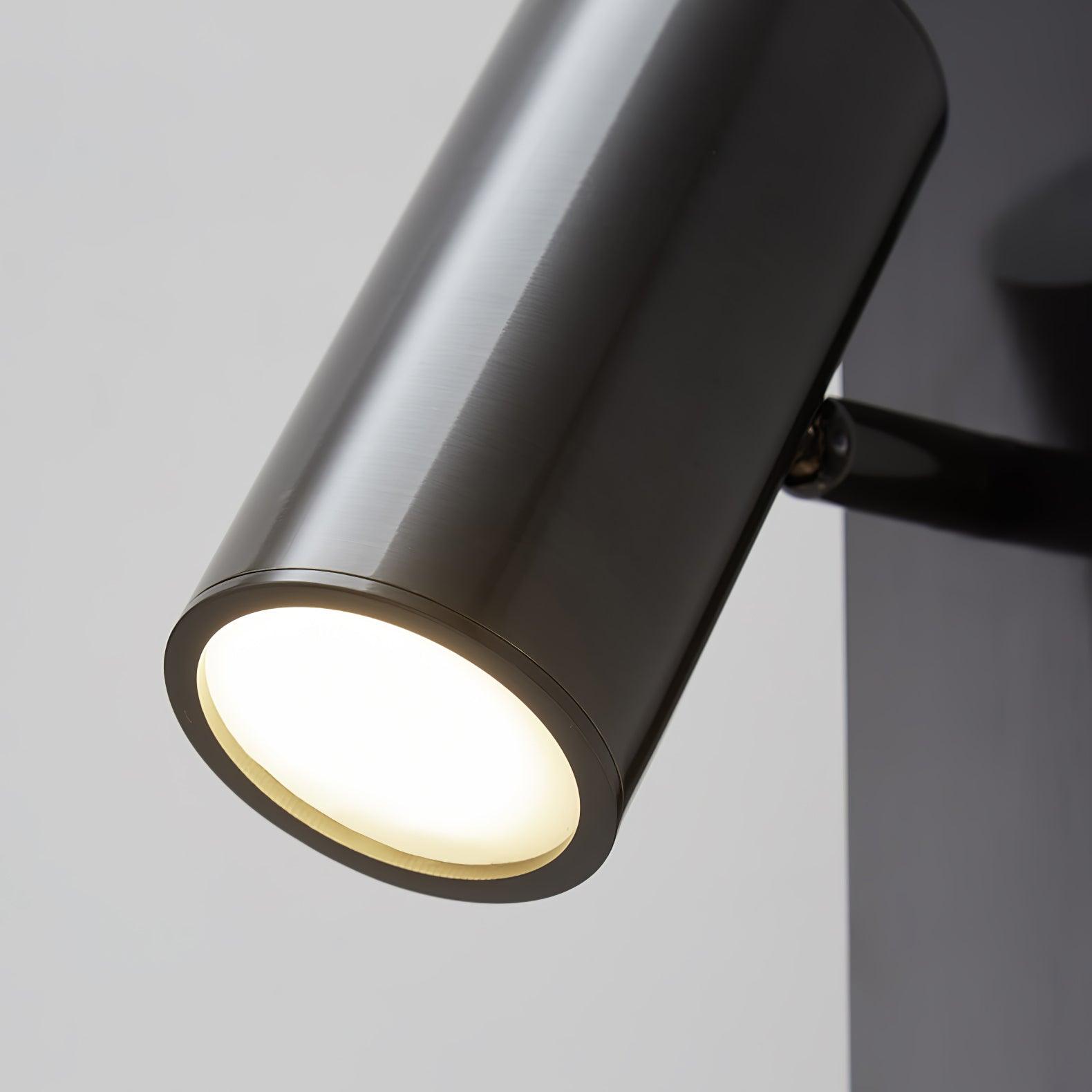 Lomesa Wall Light With Plug