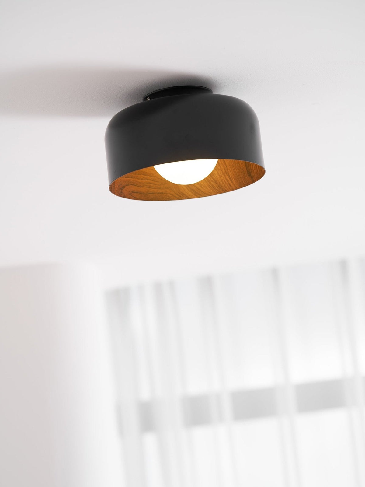 Nakara Globe Ceiling Light