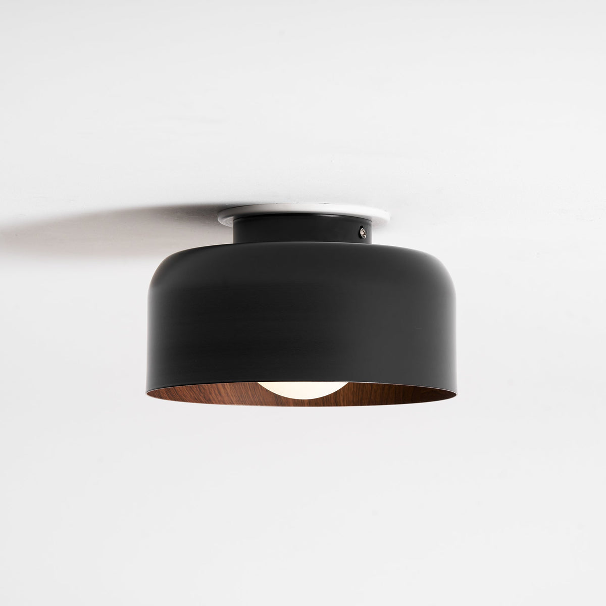Nakara Globe Ceiling Light