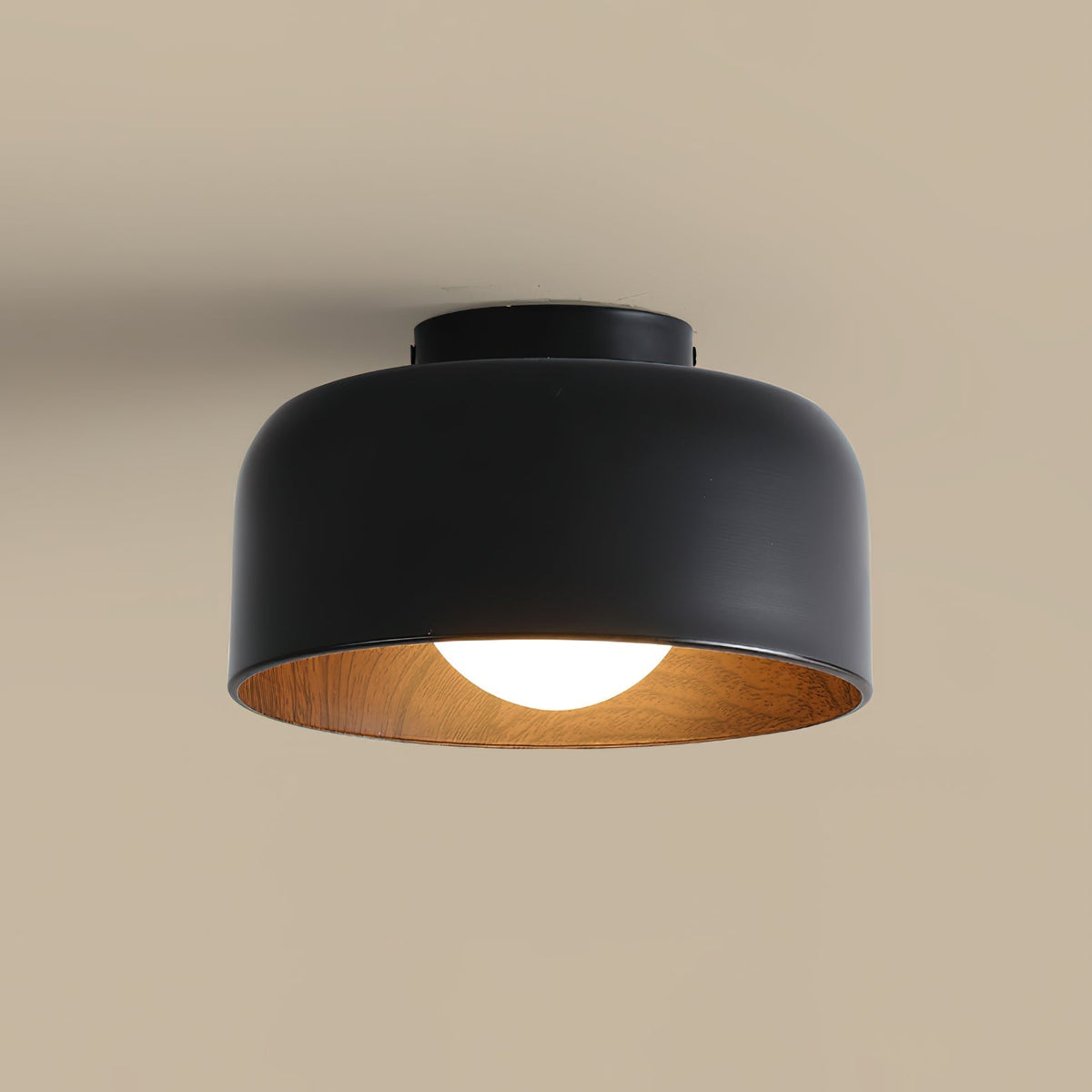 Nakara Globe Ceiling Light