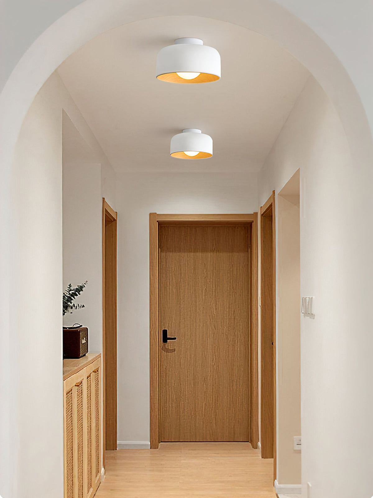 Nakara Globe Ceiling Light