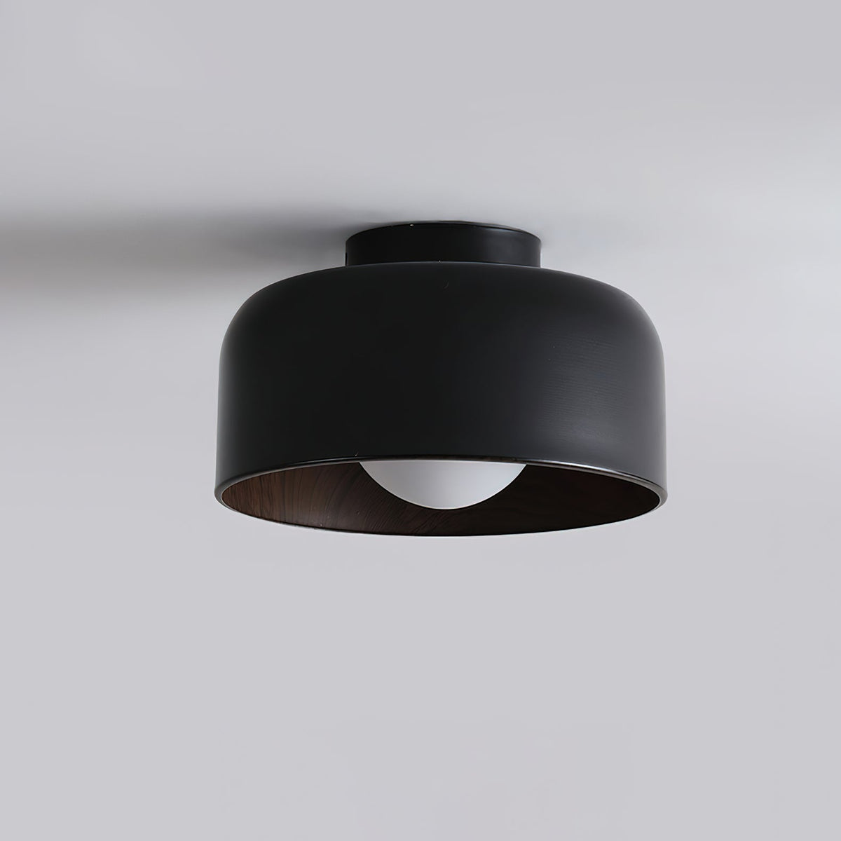 Nakara Globe Ceiling Light