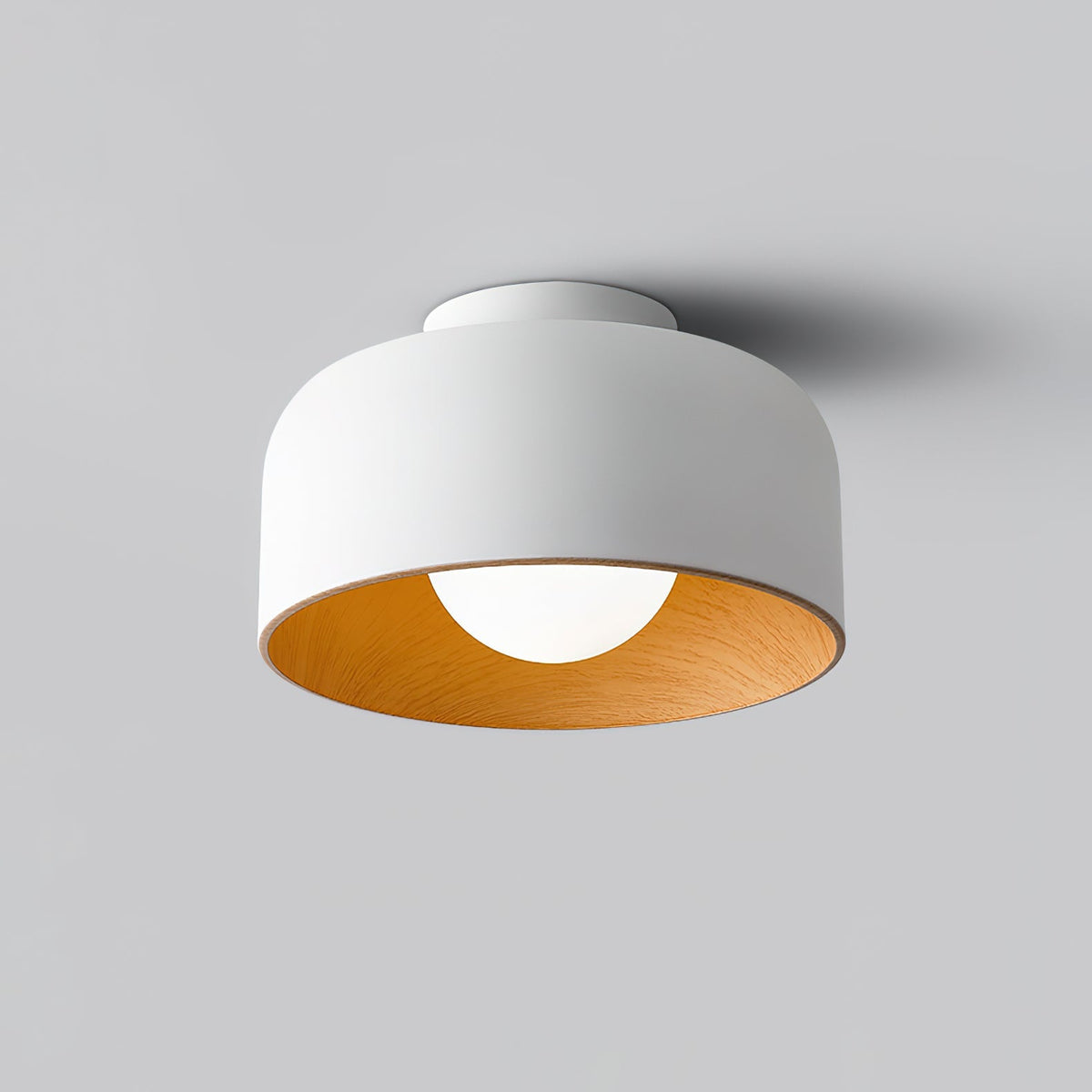 Nakara Globe Ceiling Light