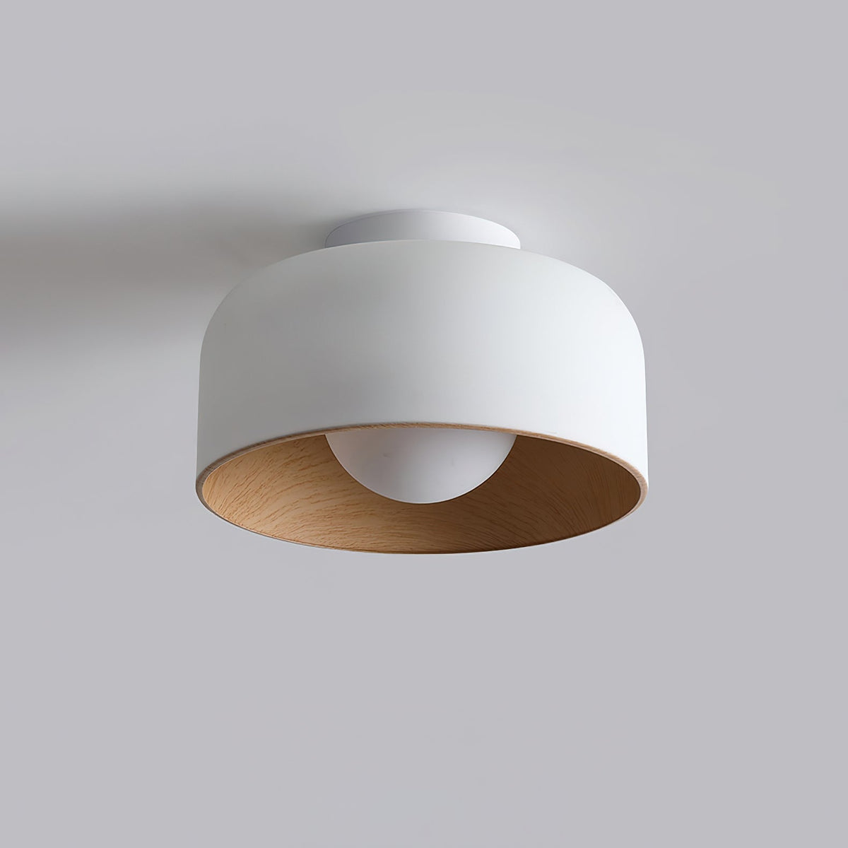 Nakara Globe Ceiling Light