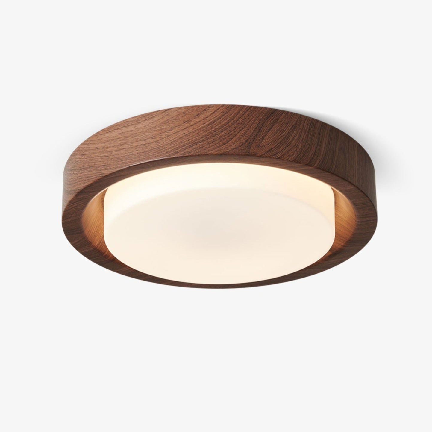 Lumza Ring Shape Ceiling Light