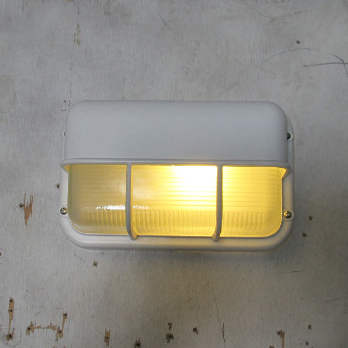 Praris Outdoor Wall Light