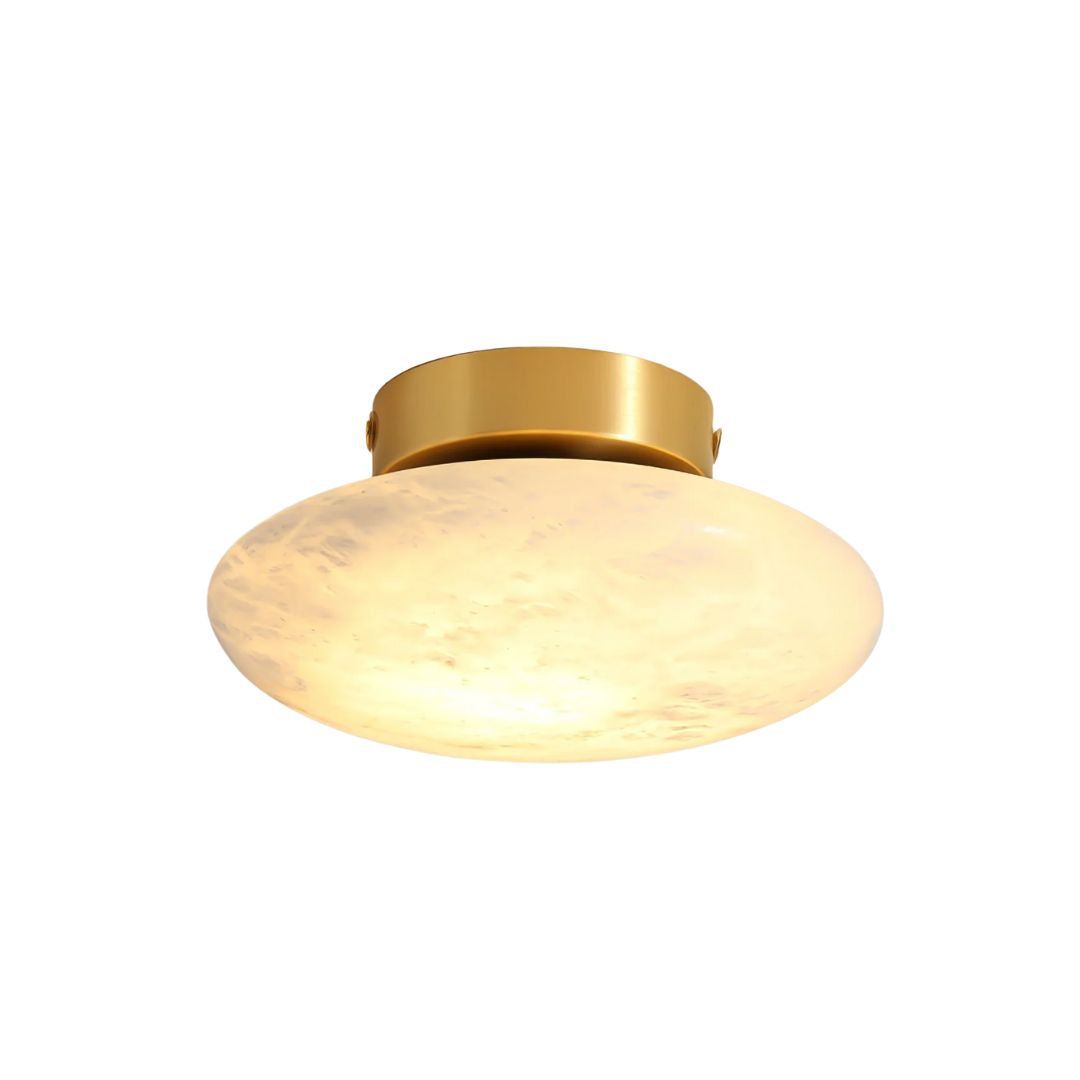 Ovval Ceiling Light