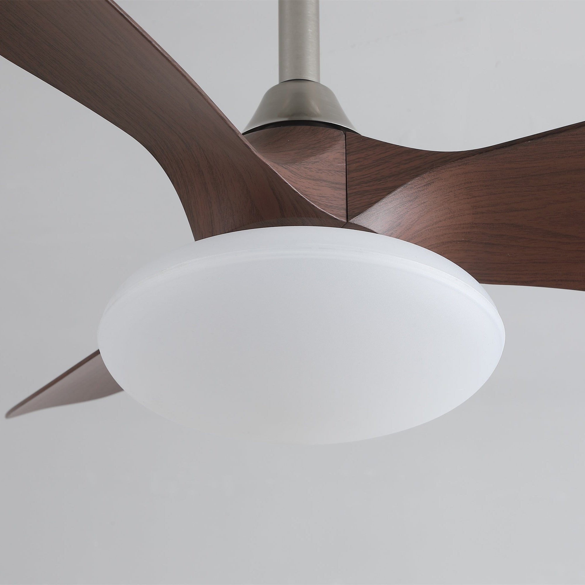 Zerinn Ceiling Fan