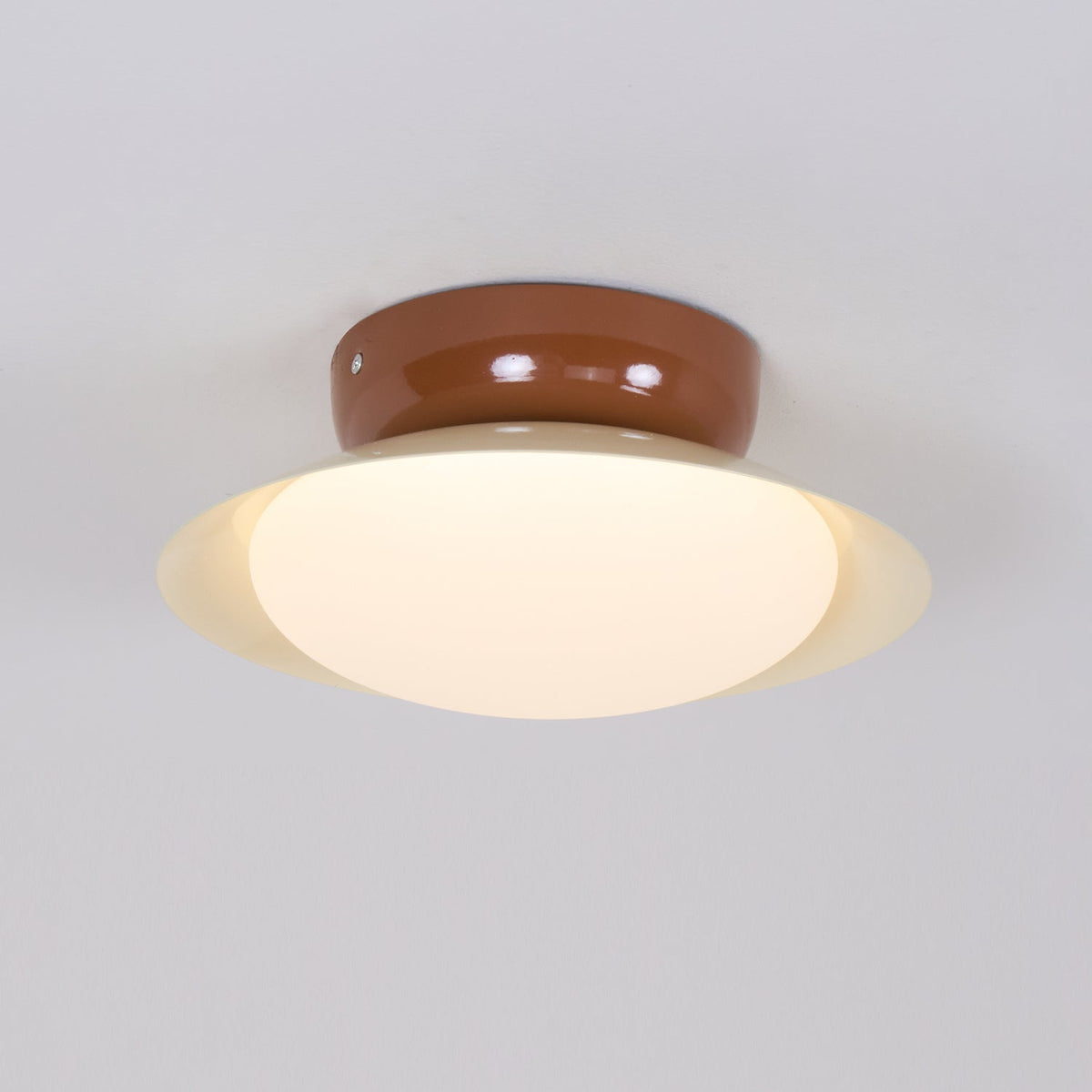 Jivo Outdoor Ceiling Light