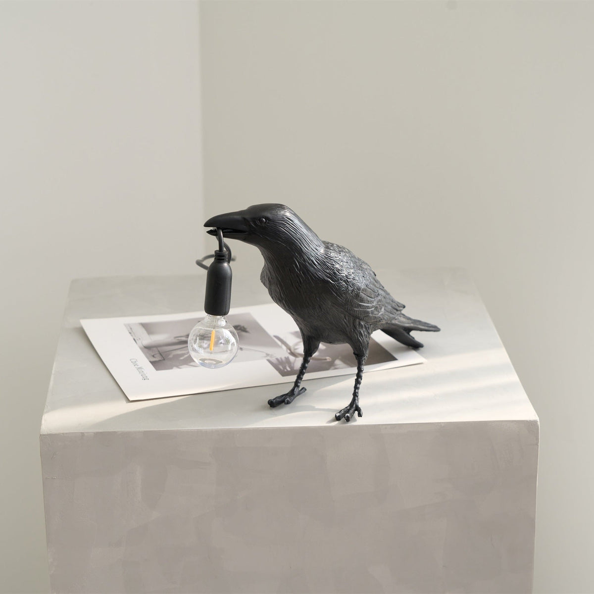 Raven Resin Table Lamp - Vakkerlight