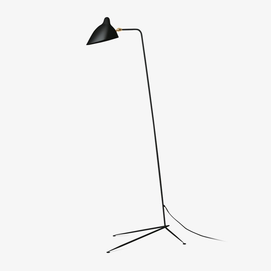 Molizon Floor Lamp