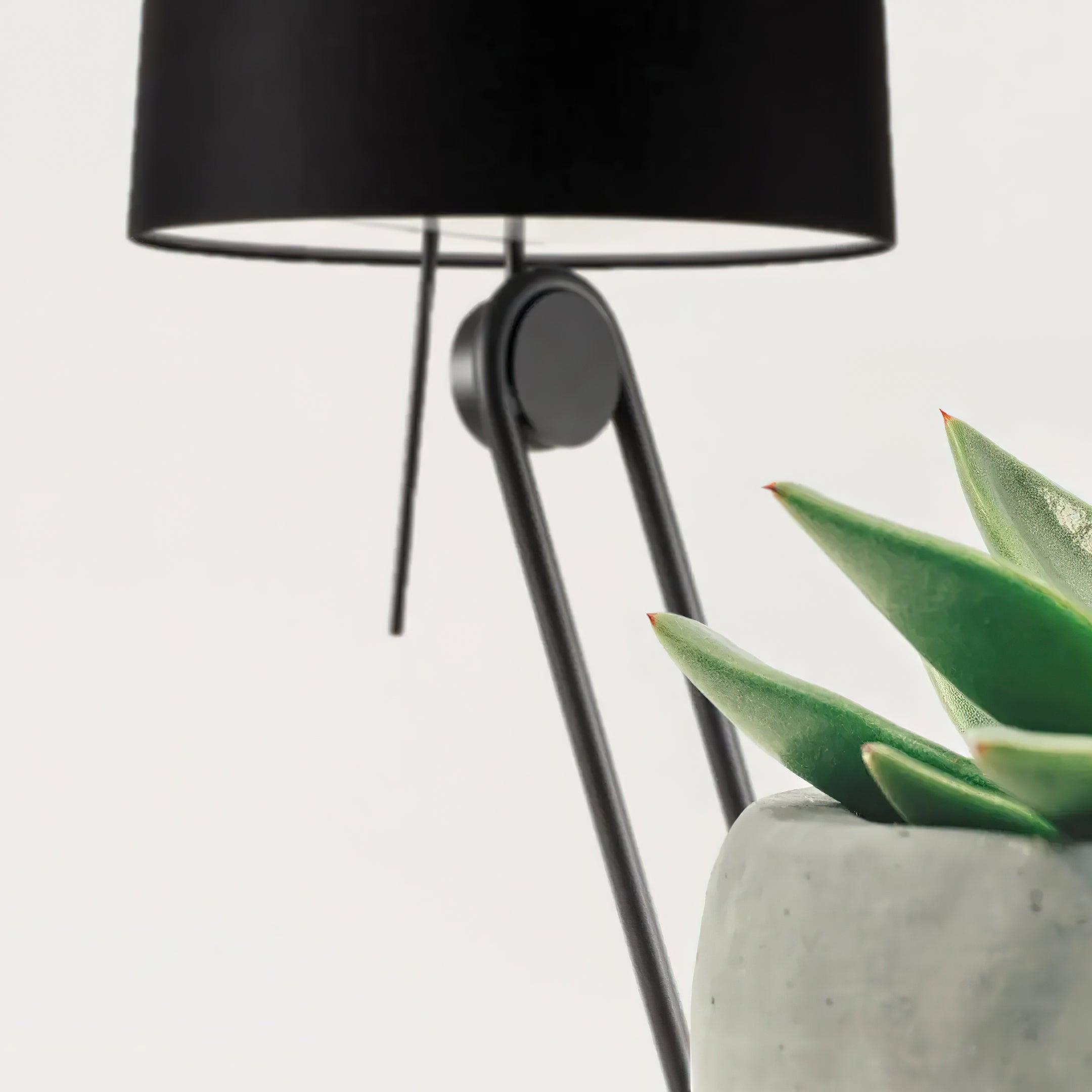 Sobenca Floor Lamp