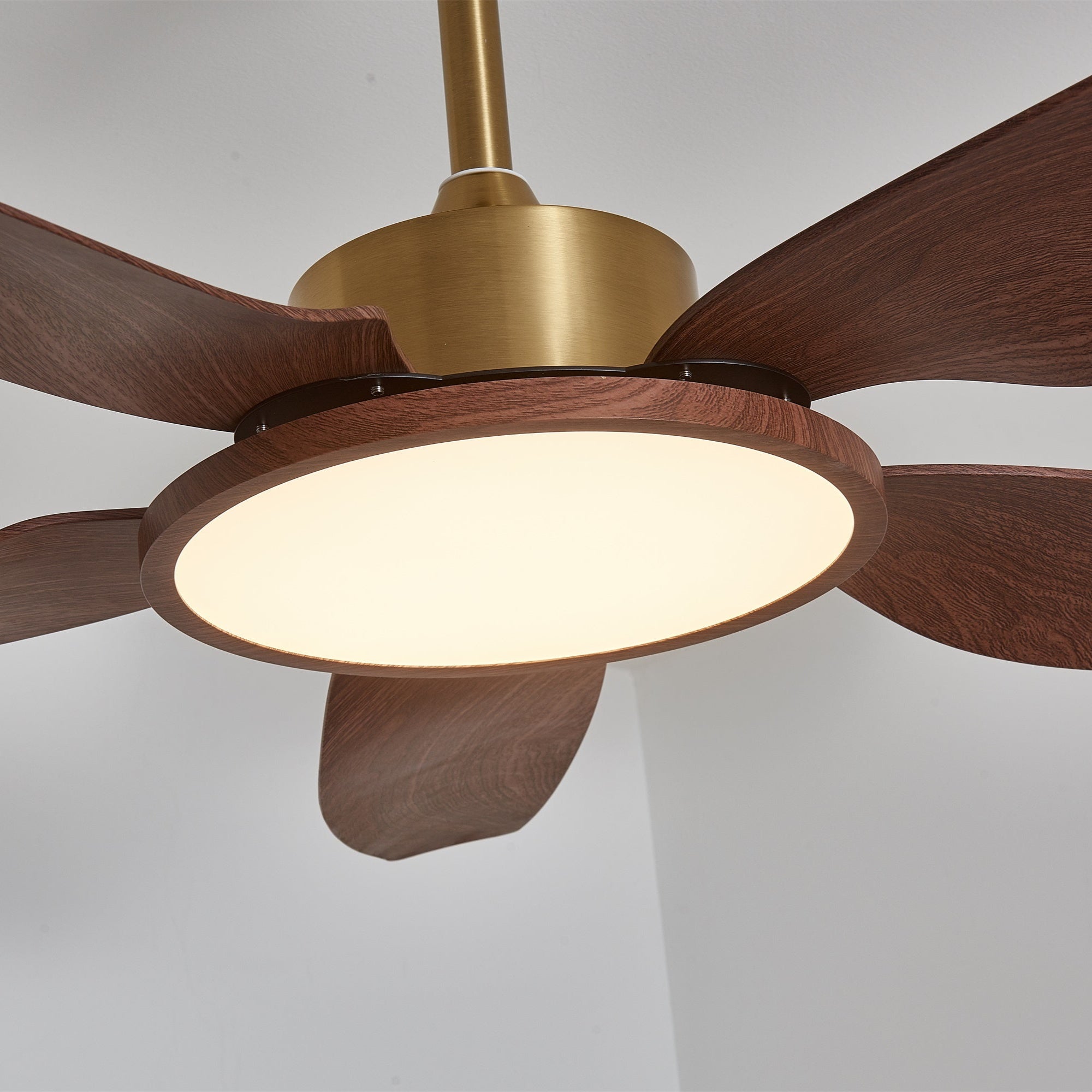 Sileno Ceiling Fan