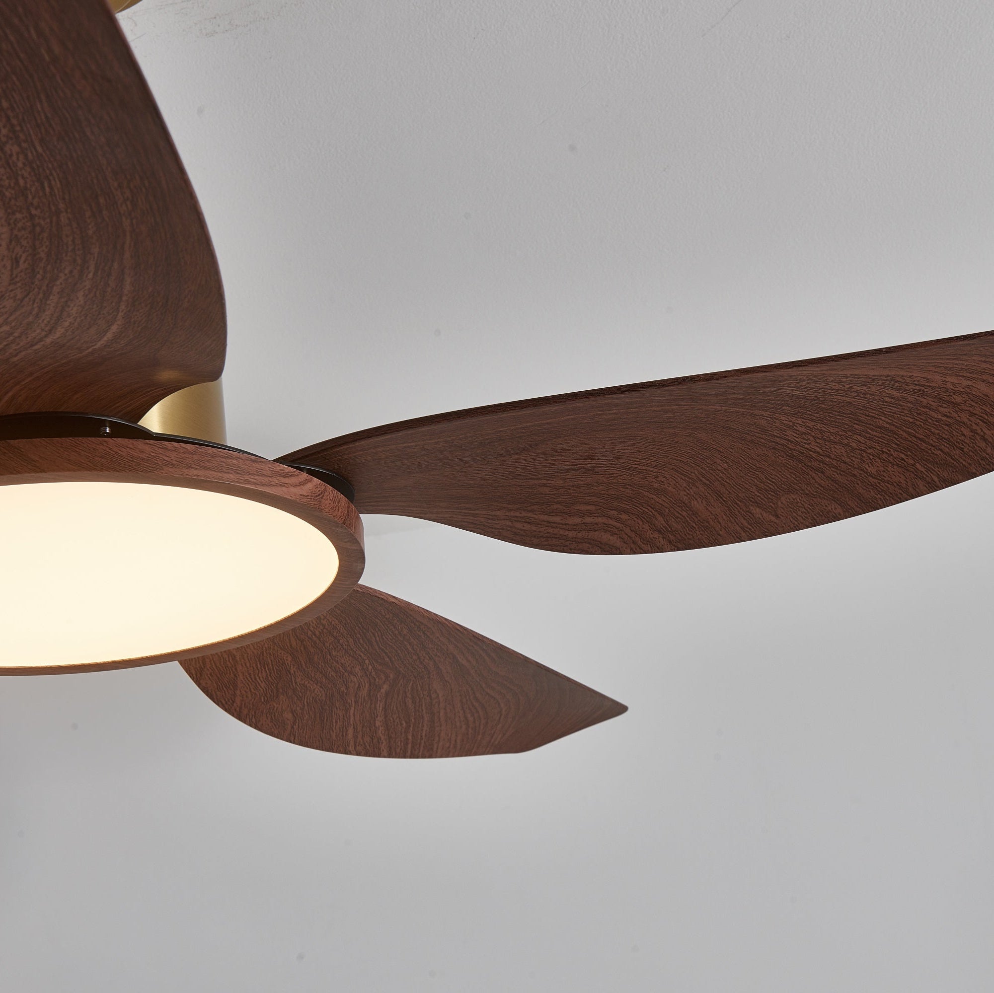 Sileno Ceiling Fan