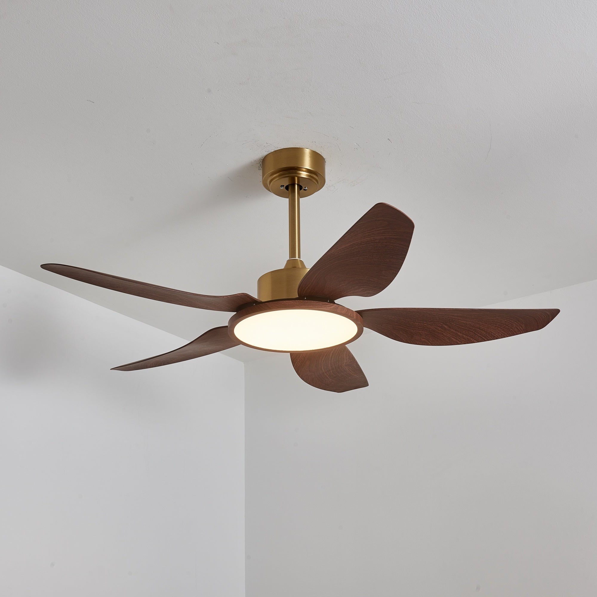 Sileno Ceiling Fan