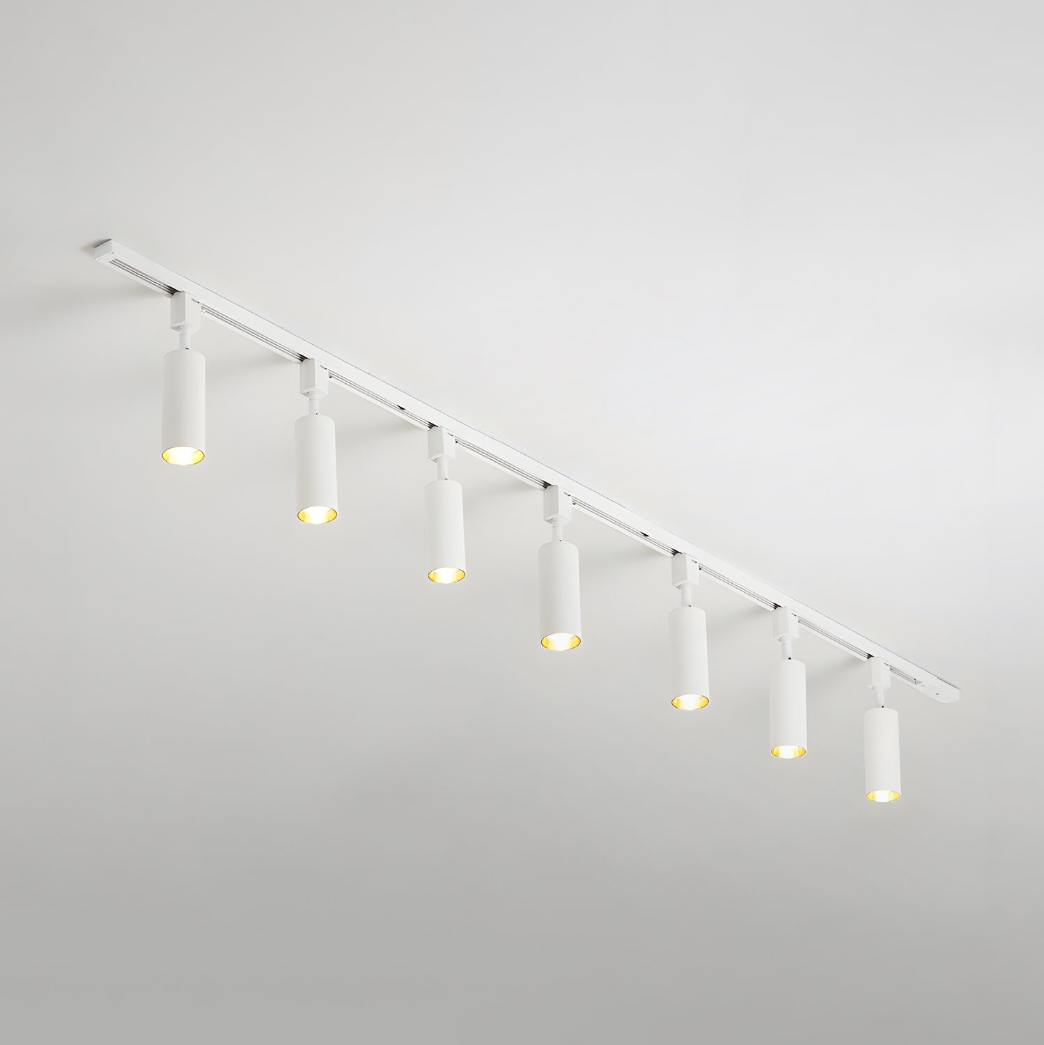 Sylonexis Ceiling Light