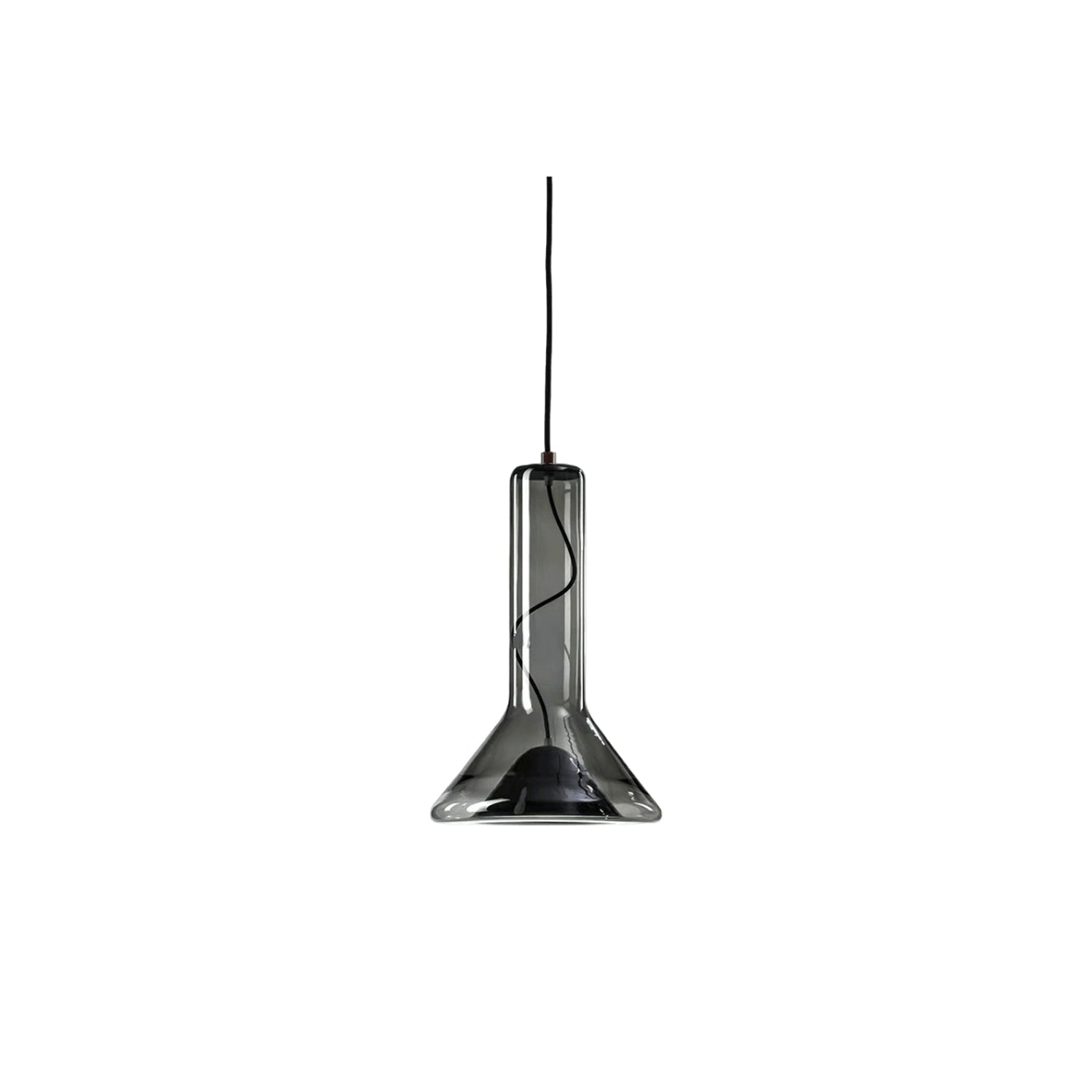 Swivel Pendant Light