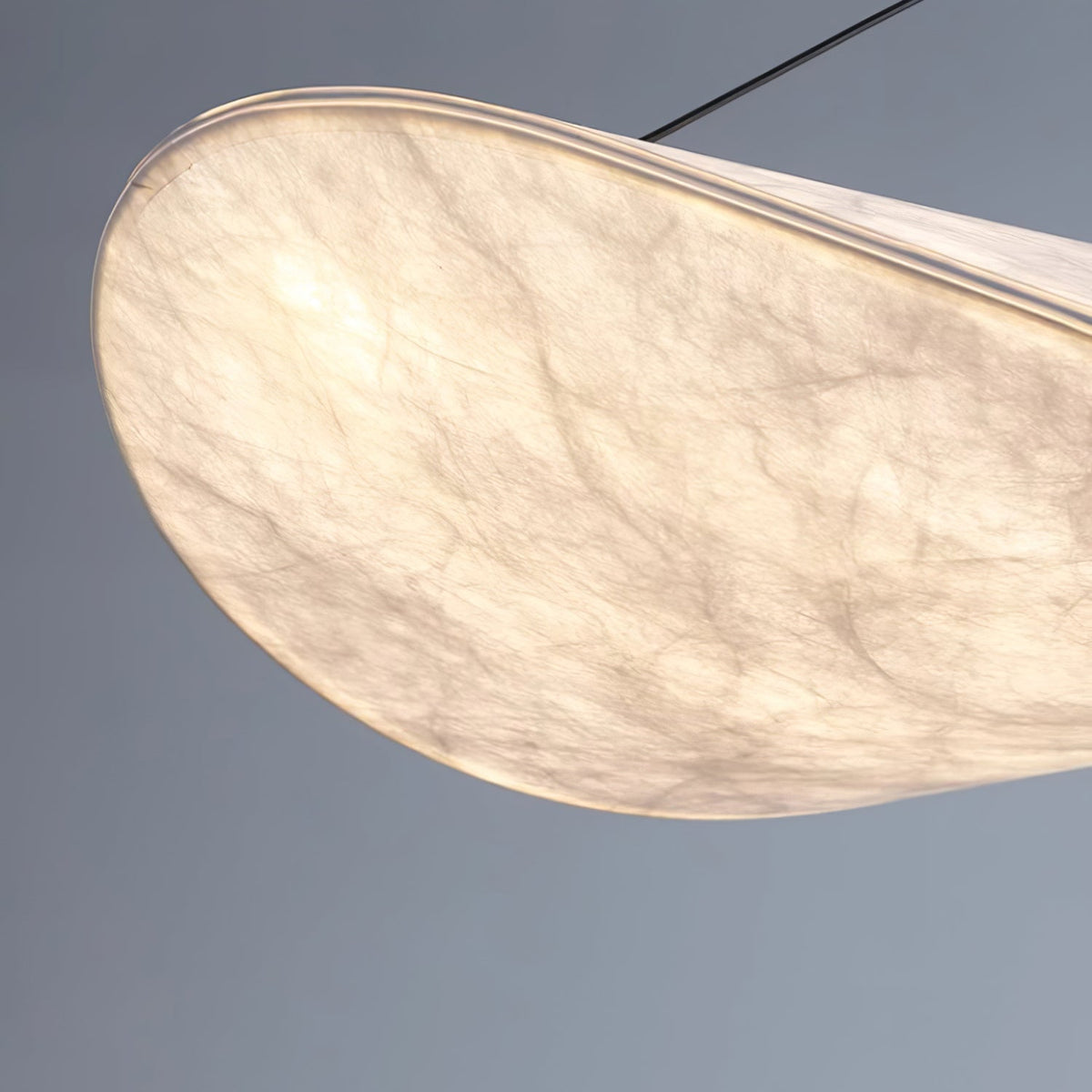 Traroria Modern Pendant Light