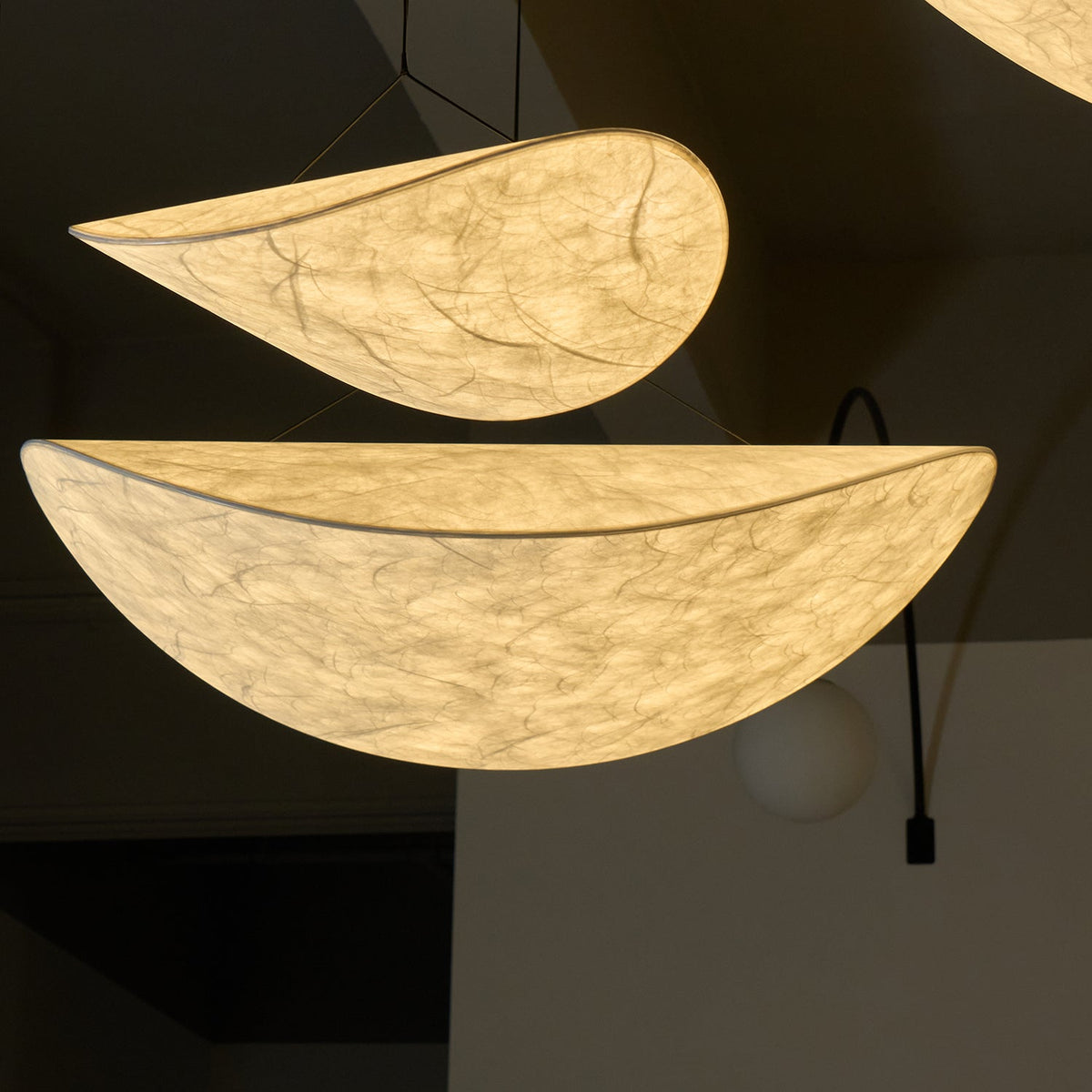 Traroria Modern Pendant Light