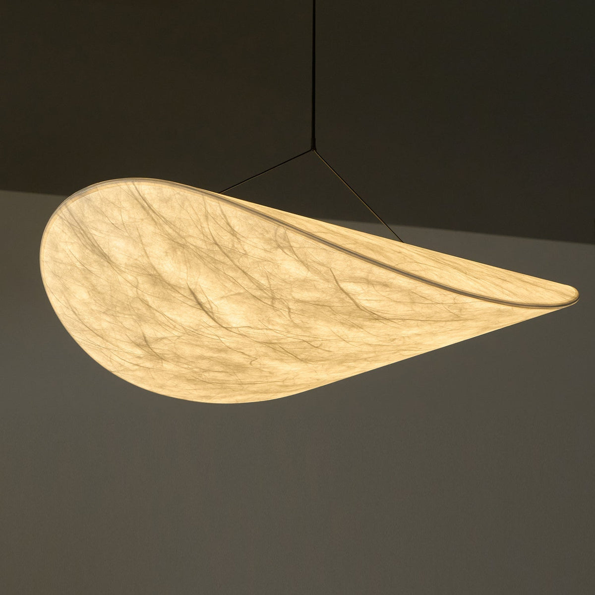 Traroria Modern Pendant Light