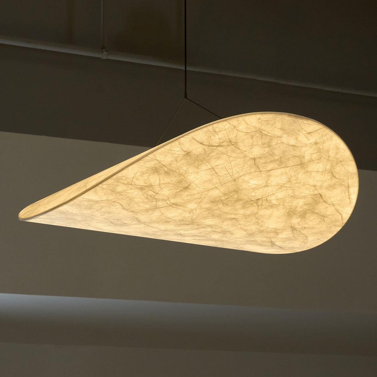 Traroria Modern Pendant Light