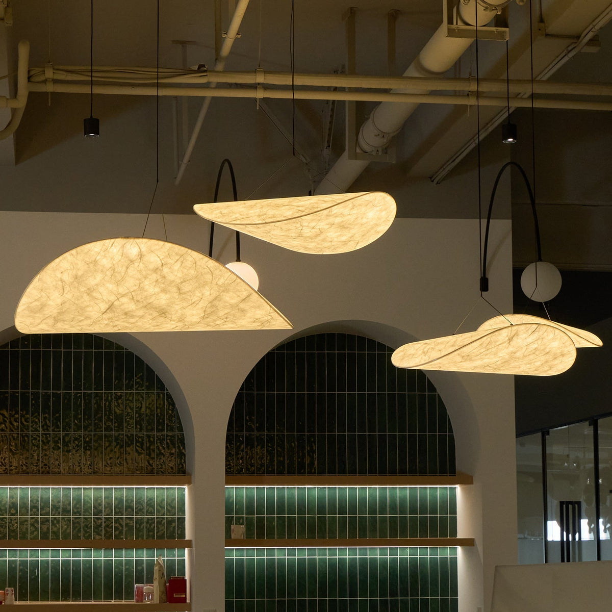 Traroria Modern Pendant Light