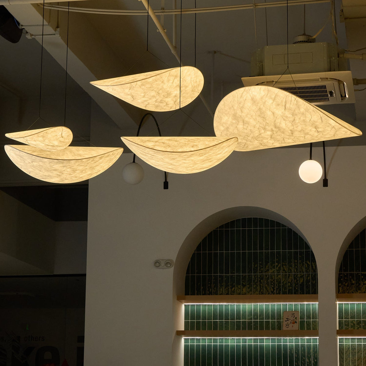 Traroria Modern Pendant Light