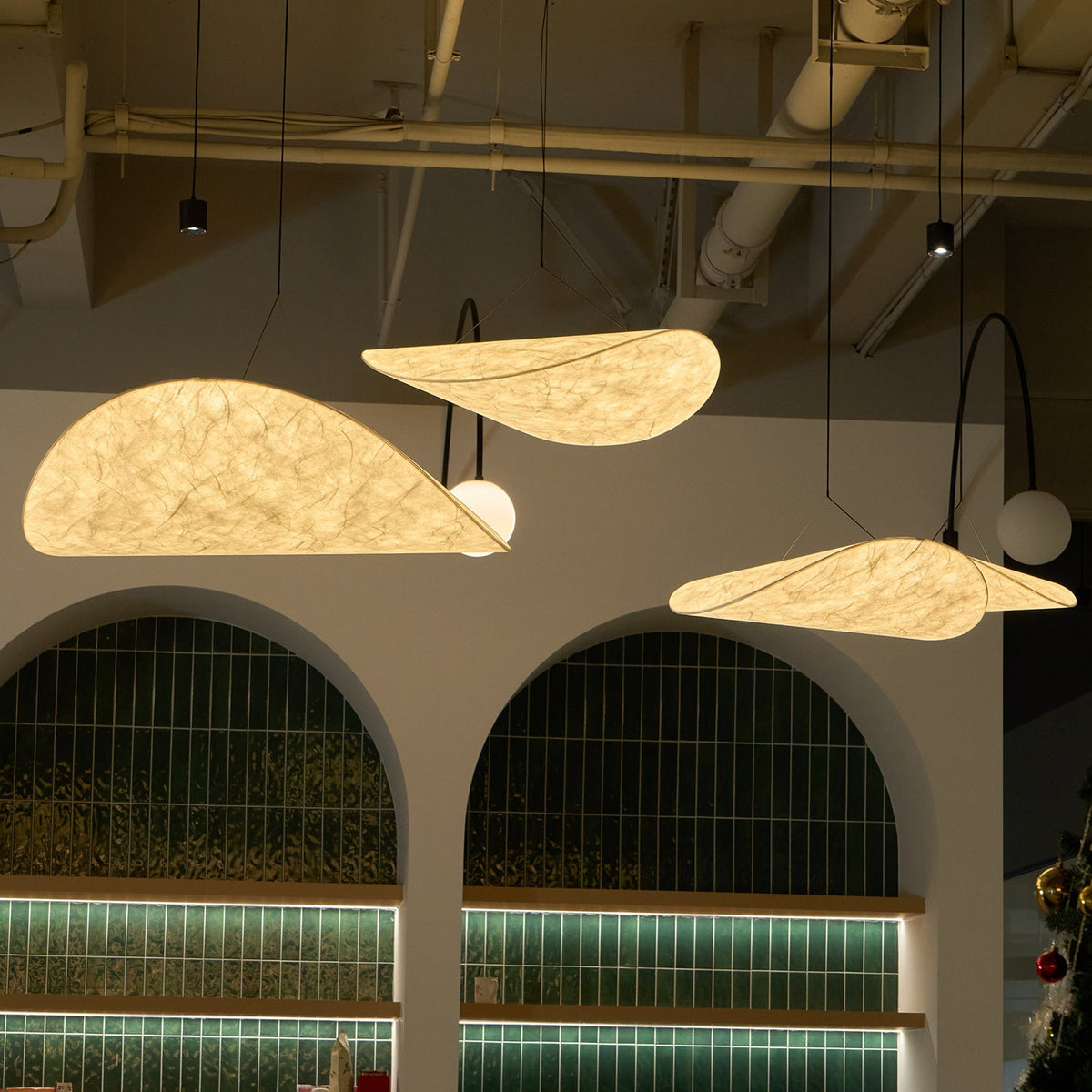 Traroria Modern Pendant Light