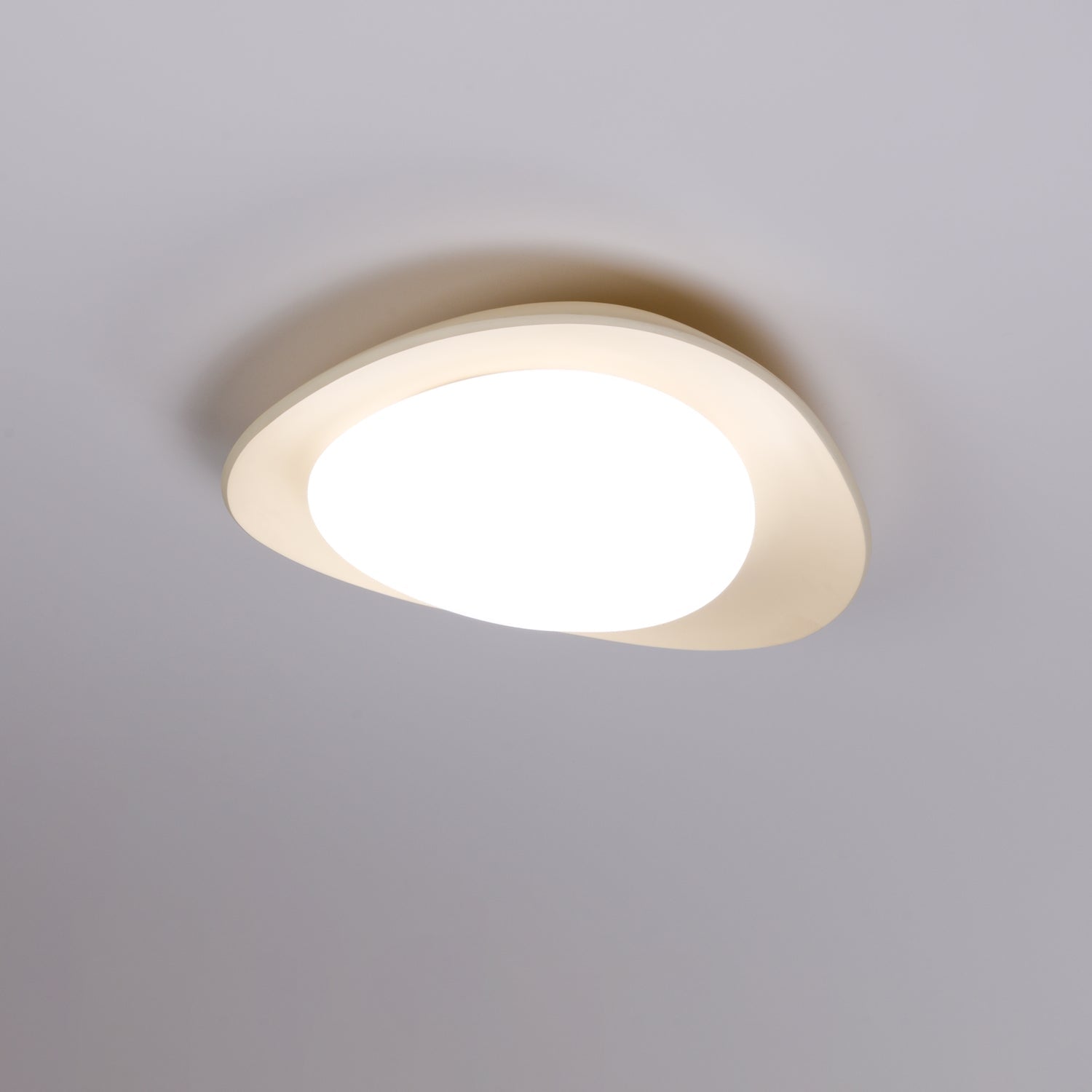 Fiolyn Leaf Ceiling Light