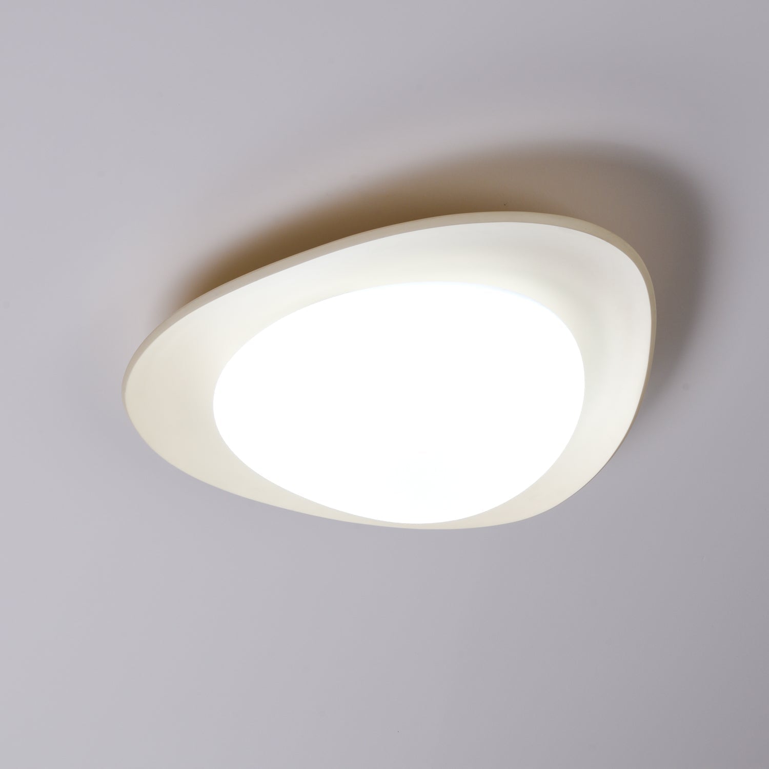 Fiolyn Leaf Ceiling Light