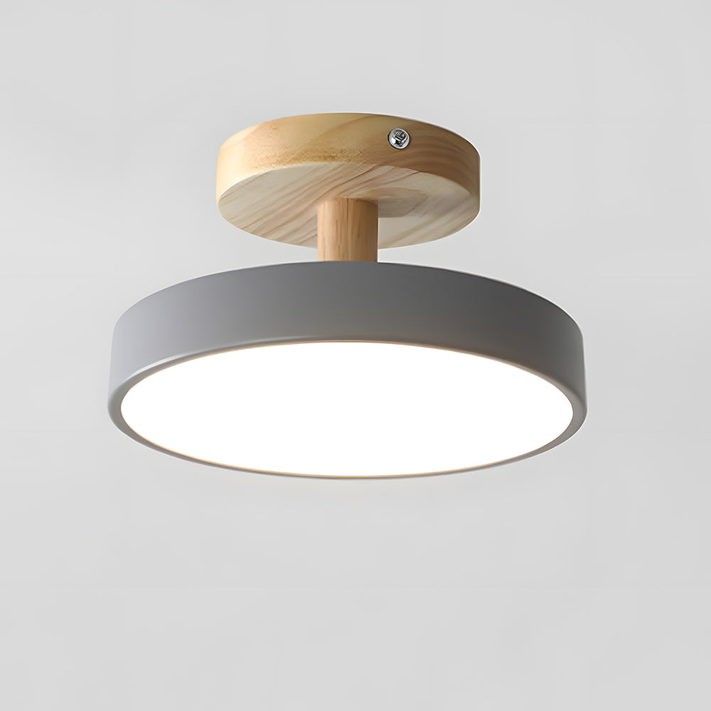 Pedol Ceiling Light
