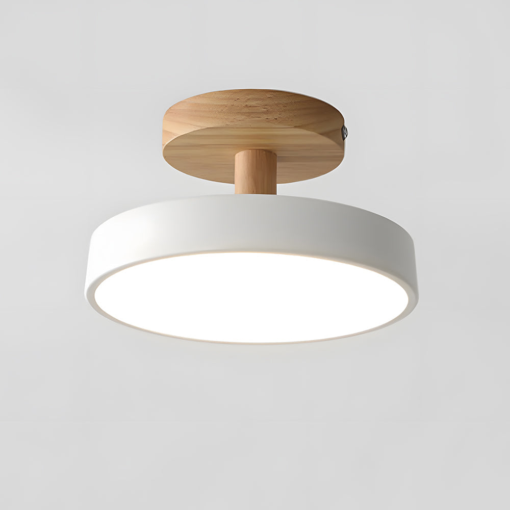 Pedol Ceiling Light