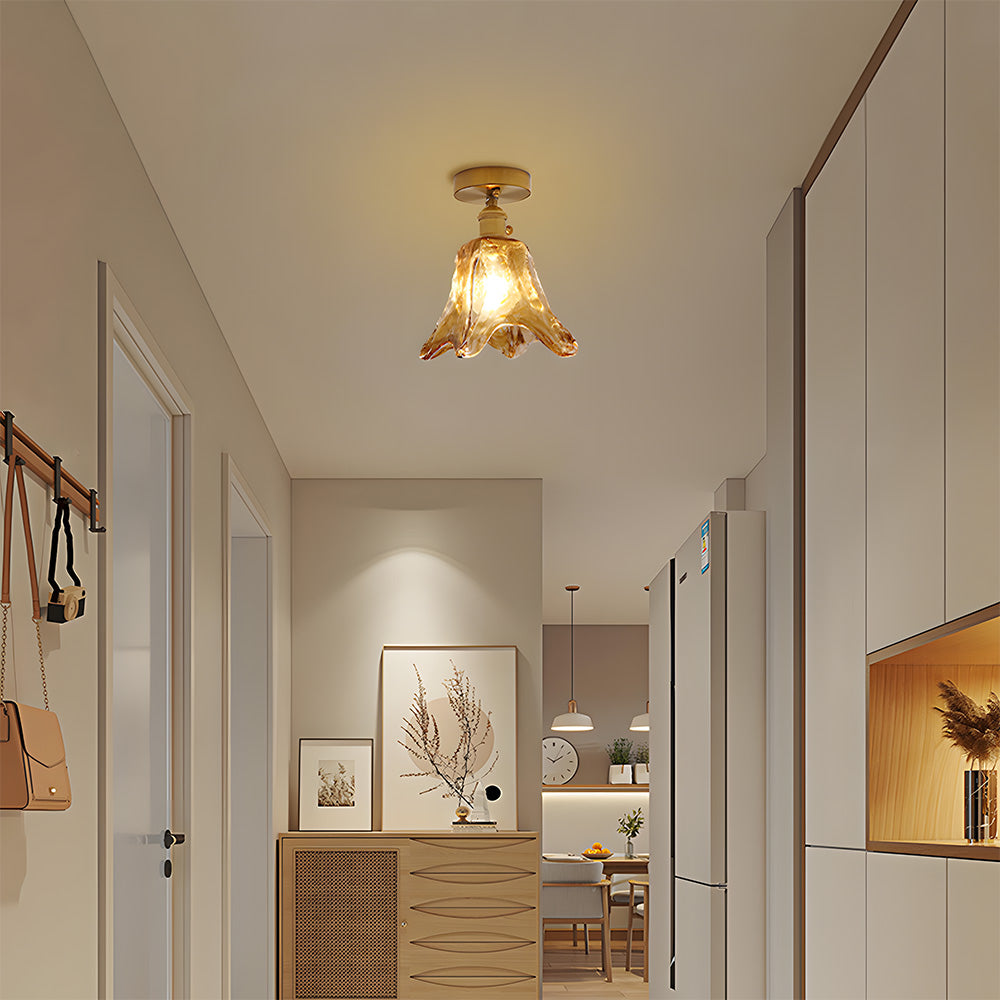 Vluro Ceiling Light