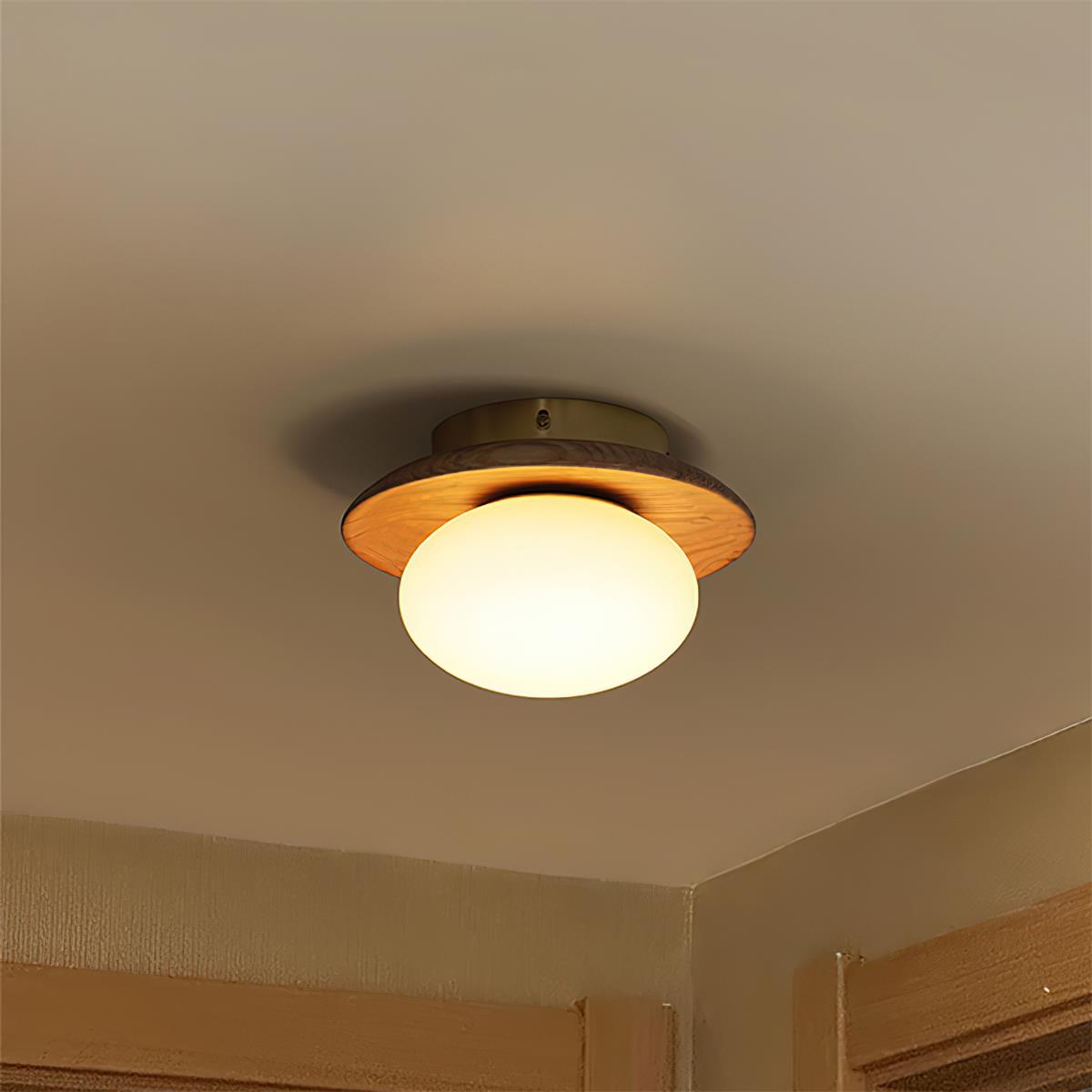 Mirezah Ceiling Light