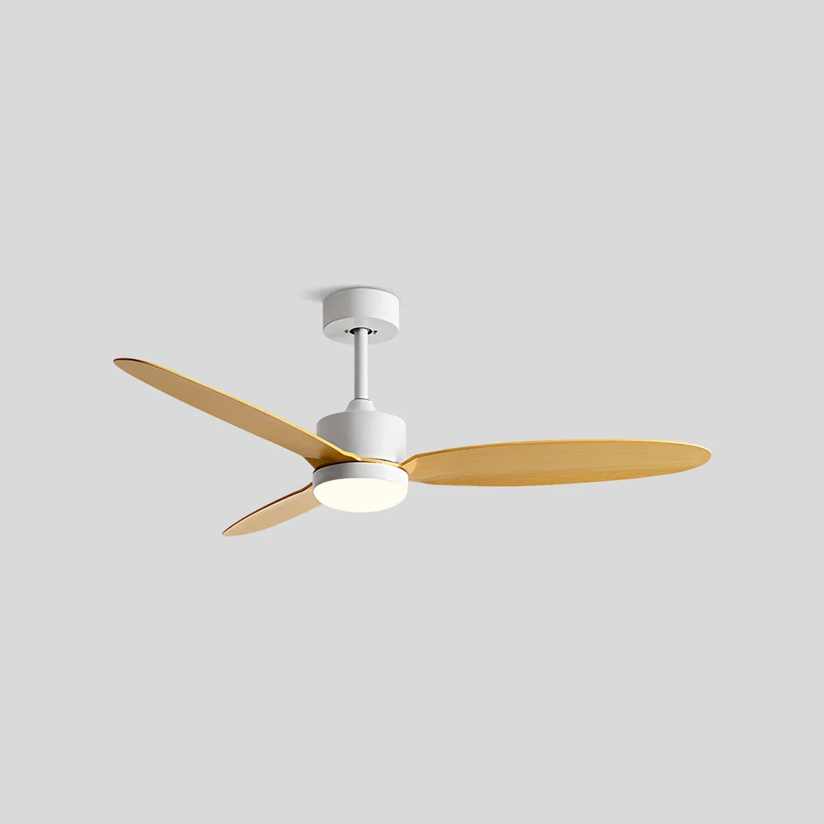 Marvento Ceiling Fan