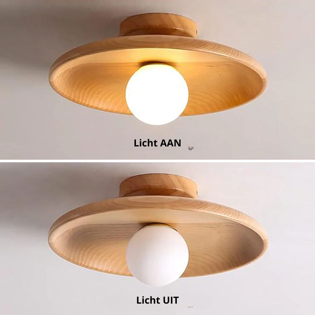 Losnero Ceiling Light