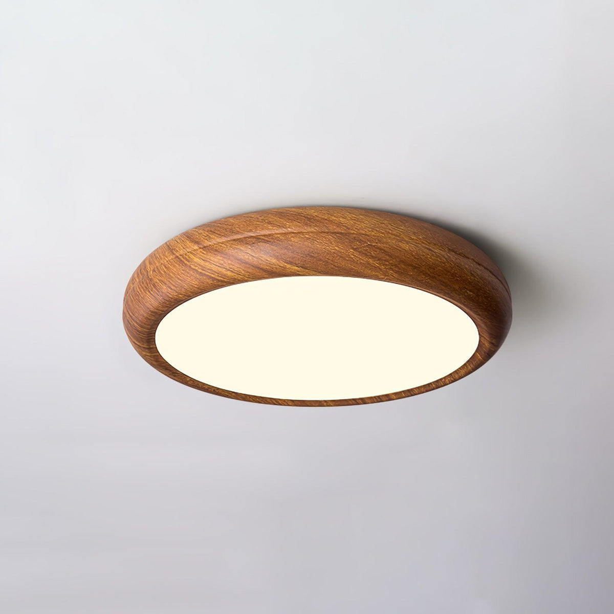 Napo Outdoor Ceiling Light