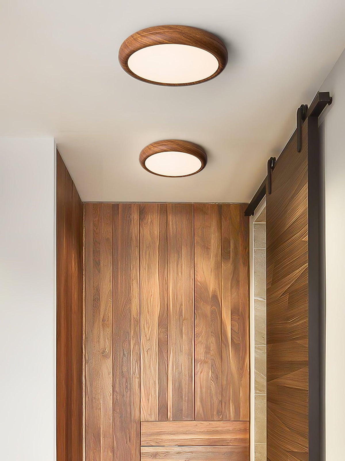 Napo Outdoor Ceiling Light